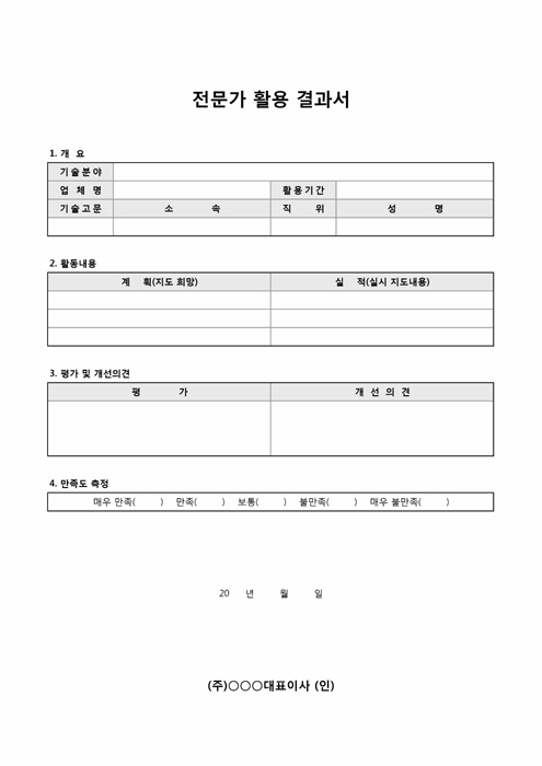 전문가 활용 결과서 전문가 활용 결과서