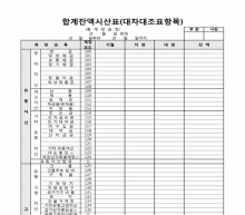 합계잔액 시산표(대차대조항목) 썸네일 이미지