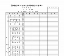 합계잔액시산표(손익계산서항목) 썸네일 이미지