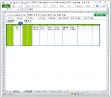 엑셀실무교육및 팁 표준양식