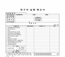 연구비 실행 예산서(학술진흥재단)