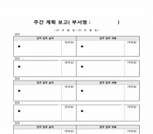 주간 계획 보고서