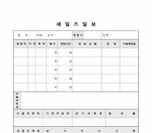 세일즈일보(3) 썸네일 이미지