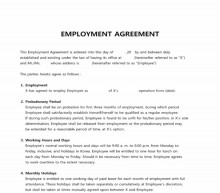 EMPLOYMENT AGREEMENT