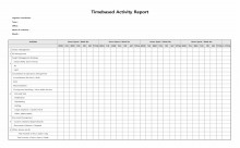 Timebased Activity Report