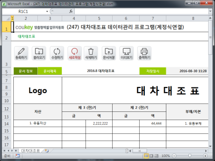 대차대조표 데이터관리 프로그램(계정식연결) 썸네일 이미지 1